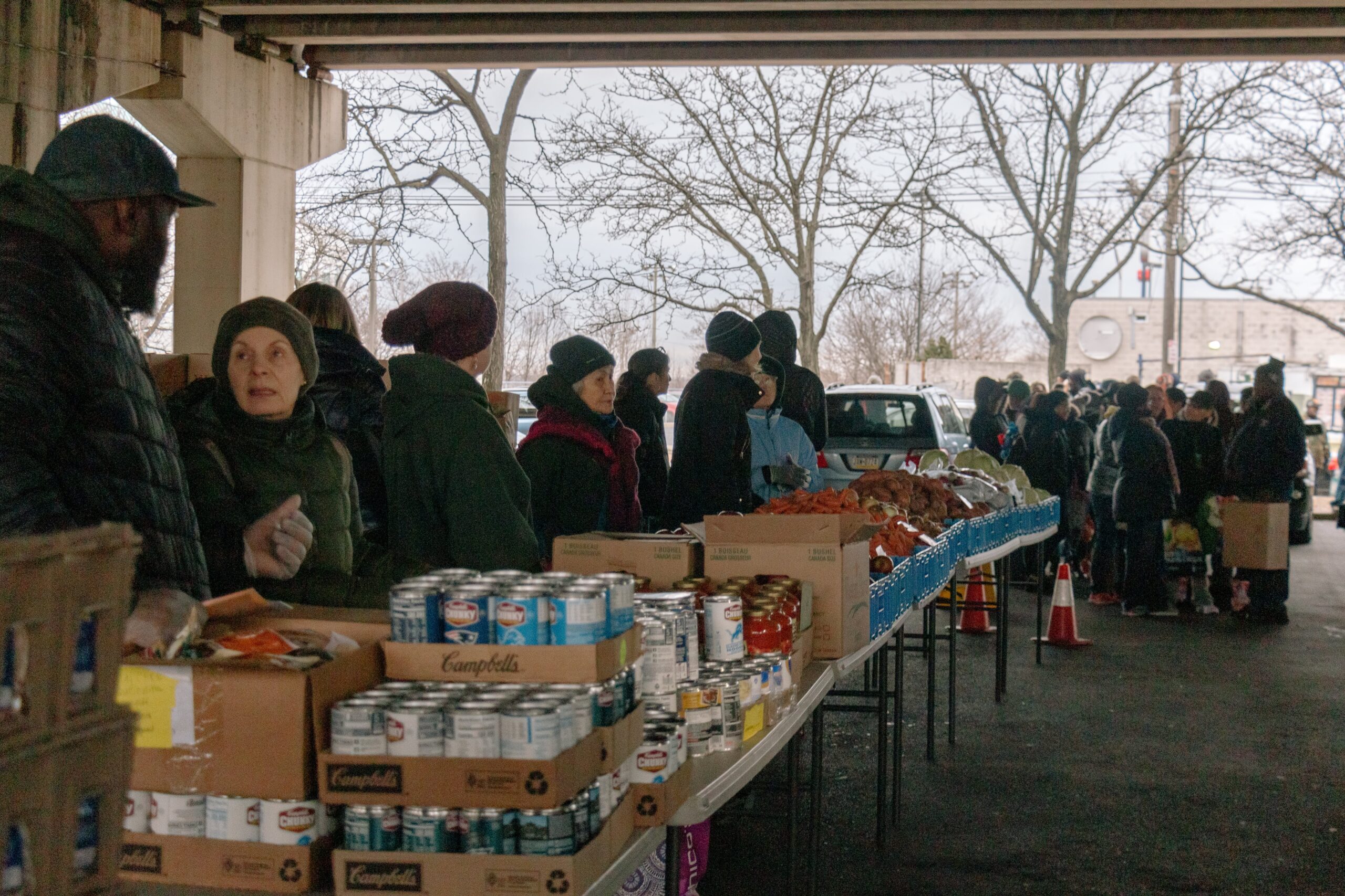 USDA Report Finds Drastic Increase in Food Insecurity