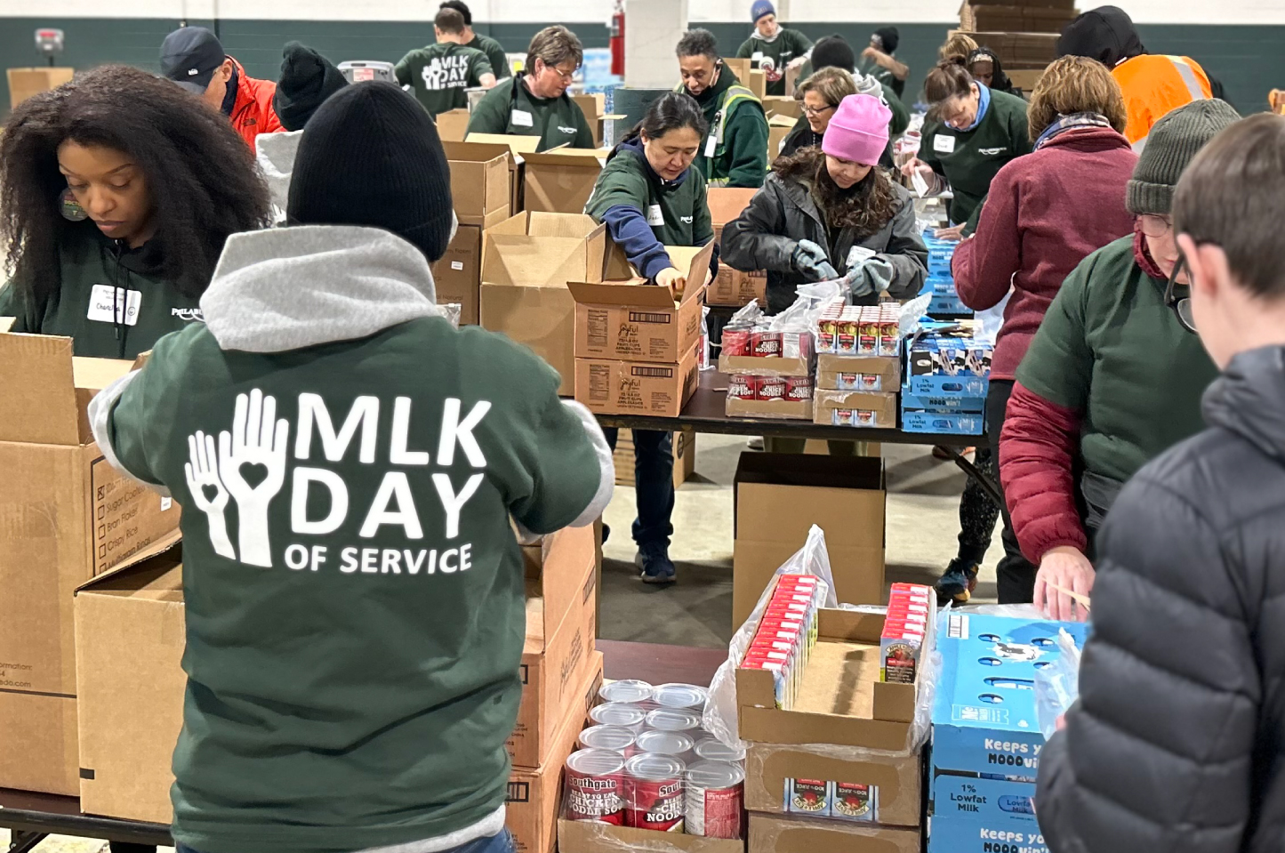 Dr. Martin Luther King Jr. Day of Service