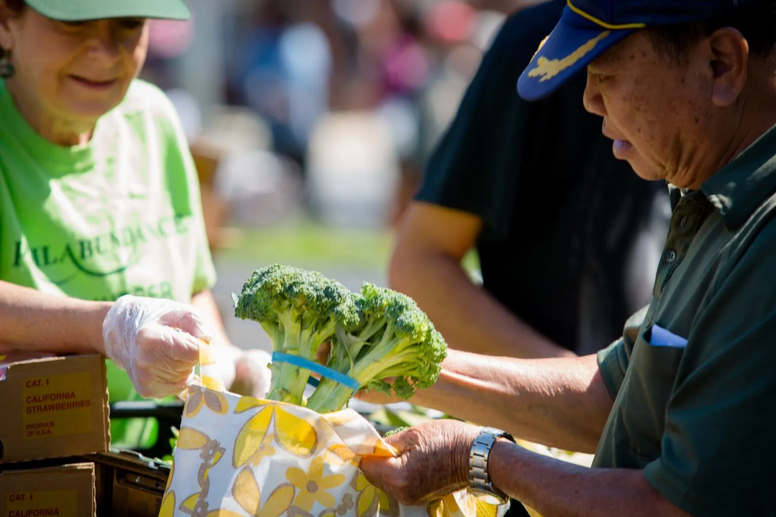 Where to Find a "Food Bank Near Me" and Access Local Food Assistance